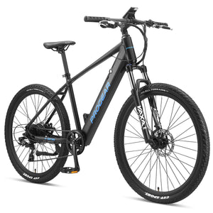 E-BIKES