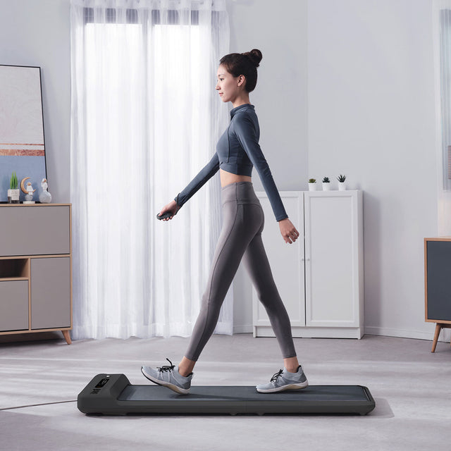 Lifespan Fitness WalkingPad™ M2 Treadmill